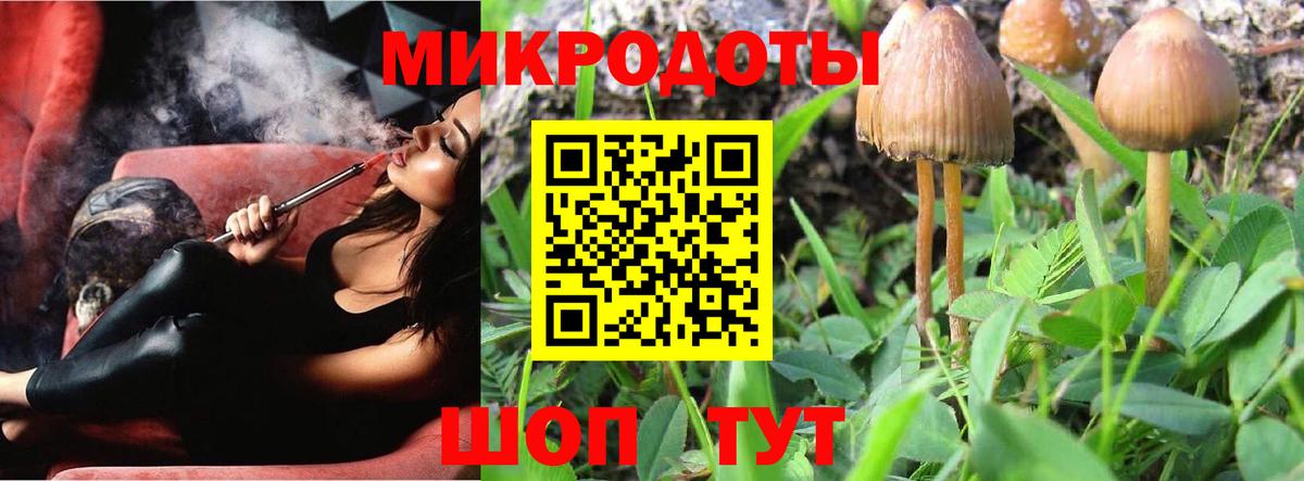 Псилоцибиновые грибы Psilocybine cubensis Юрга