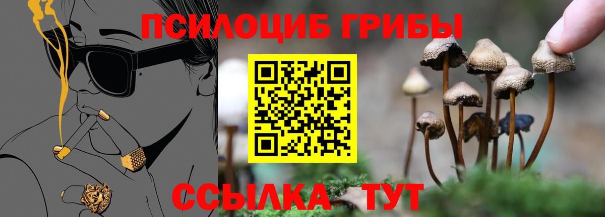 Юрга  Галлюциногенные грибы GOLDEN TEACHER  Вход с VPN 